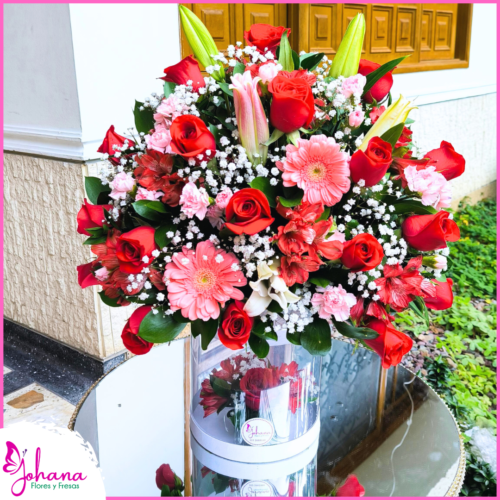 ramo con transparente