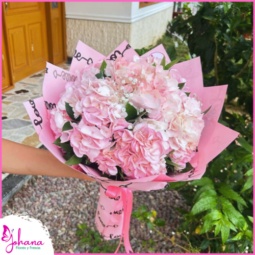 buchón de hortensias